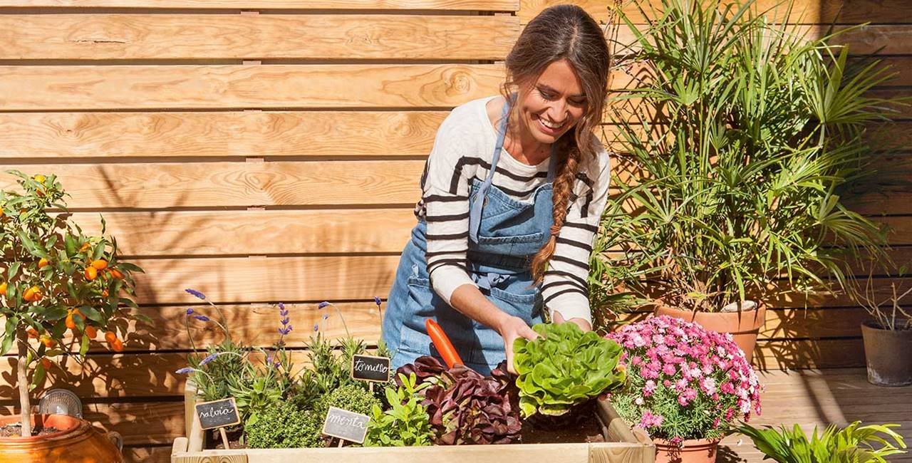 ¡Tips de jardinería al día para una terapia anti estrés!